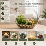 Glass Bubble Bowl, 4.5" Height x 6" Width Glass Fish Bowl Vase, Bubble Bowl vase for Terrarium, Flower vase Centerpiece