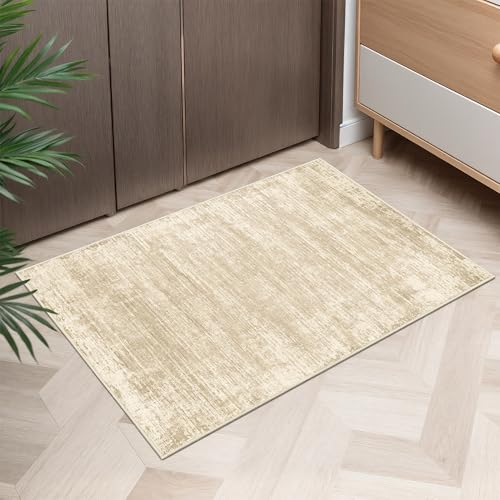 Washable 2x3 Area Rugs, Door Mat Abstract Rugs for Entrance Brown