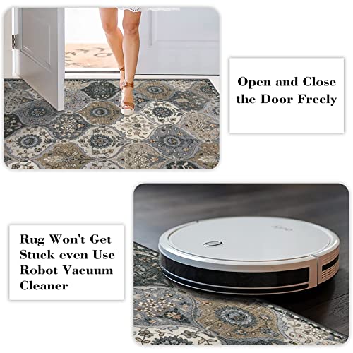 Lahome Moroccan Machine Washable Rugs, 4x6 Area Rug for Living Room Bedroom