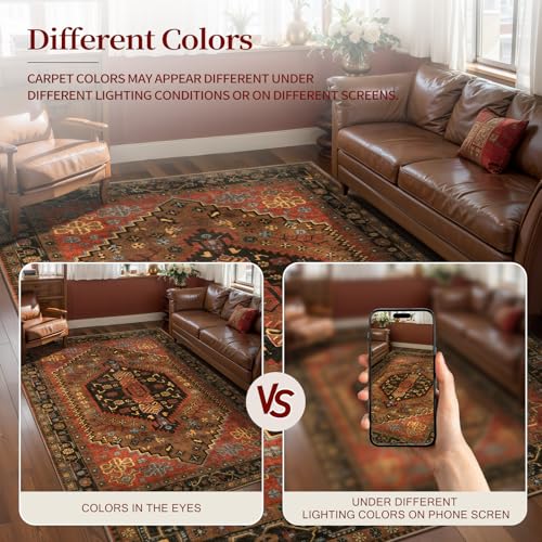 Ciicool Small Area Rug, 2x3ft Red Boho Rug, Ultra Soft Entry Rugs for Entryway, Non-Slip Washable Rugs Oriental Low-Pile Indoor Mat Floor Carpet for Entrance Bedroom Kitchen Bathroom Foyer Decor