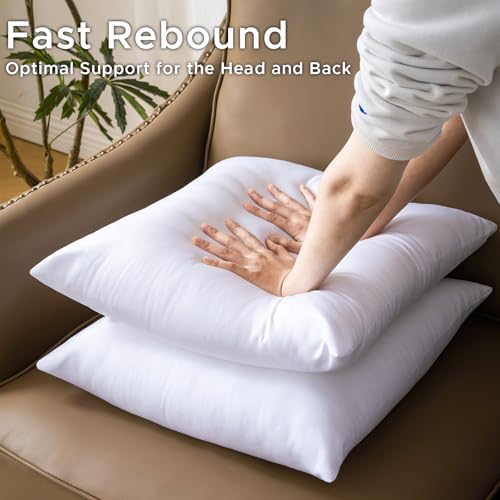 12 x 20 Pillow Insert Set of 2 - Premium Soft and Fluffy Small Lumbar Pillow Sofa Decorative White Rectangle Throw Pillow Inserts Stuffing for Living Room Couch and Bedroom Interior Cushions