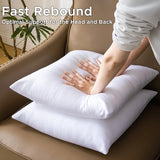 12 x 20 Pillow Insert Set of 2 - Premium Soft and Fluffy Small Lumbar Pillow Sofa Decorative White Rectangle Throw Pillow Inserts Stuffing for Living Room Couch and Bedroom Interior Cushions