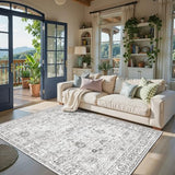 Grey Area Rug 5x8 for Living Room Bedroom