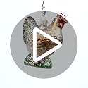 Old World Christmas Spring Chicken Glass Blown Ornament for Christmas Tree, Handcrafted Holiday Decoration, Farm Animal Collection