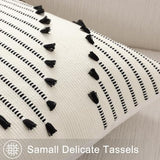 Mecatny Boho Summer Outdoor Throw Pillow Covers 18X18 Set of 2, Farmhouse Decorative Pillow Covers for Couch Sofa Living Room, Black & Cream White