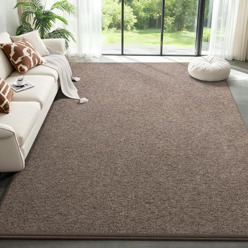 Large Modern Area Rugs for Living Room Bedroom, 6x9 Feet Brown
