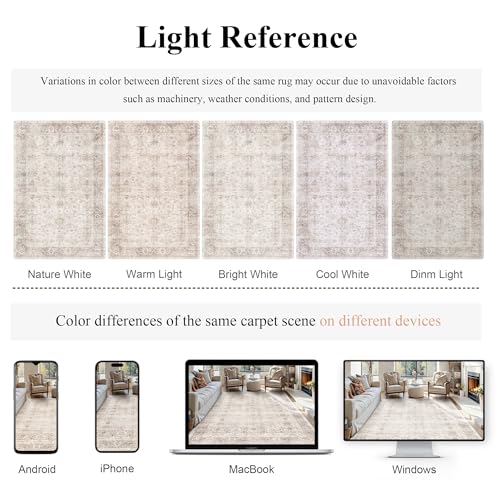6x9 Neutral Rug for Living Room Vintage Distressed Bedroom Rug