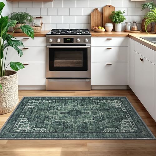 3x5 Washable Area Rug Non Slip Door Mat Indoor for Entryway Bedside