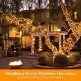 66FT 200 LED Christmas Light, Twinkle Xmas Lights with 8 Modes and Timer, Outdoor Waterproof Christmas Tree Lights for Room Bedroom Wedding Party Holiday Decorations, Warm White