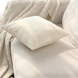 Set of 2 Comfortable Throw Pillow Cover for Bedding, Decorative Accent Cushion Sham Case for Couch Sofa, Soft Solid Velvet with Zipper Hidden - 20"x20", Ivory