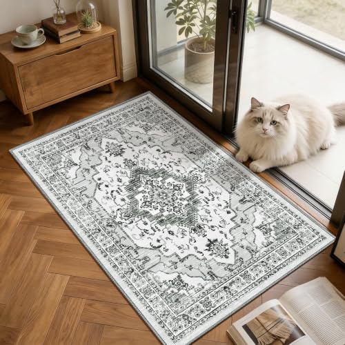 2x3 Washable Entryway Rug, Light Grey