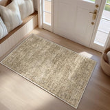 FMFUNCTEX 2x3 Washable Brown Vintage Distressed Oriental Retro Entryway Rug