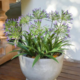 8 Bundles Artificial Flowers Plants for Outdoor Planters | 18.9 in Purple Large Fake Flowers | Spring Summer Look Real Plasic Faux Plant for Front Porch Pathway Garden Patio (Purple)
