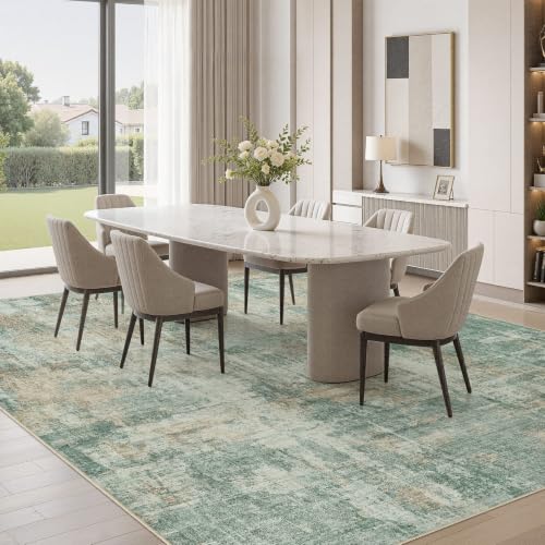 5x7 Area Rug for Living Room Washable Abstract Indoor Carpet
