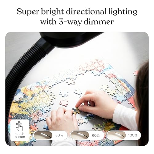Brightech Litespan - Bright LED Floor Reading Lamp for Over Chair Crafts and Reading, Esthetician Light for Lash Extensions, Gooseneck Adjustable Standing Lamp for Living Room, Bedroom, Office - Black