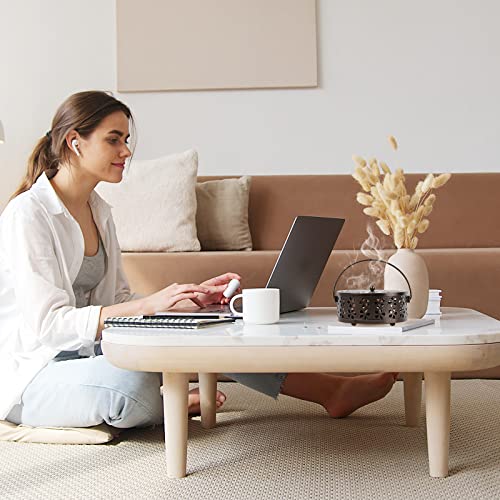 Portable Iron Mosquito Coil Holder with Handle Round Heat-Resistant Incense Holder for Home Office Camping (Bronze)