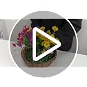2 Set Artificial Outdoor Flowers with Hanging Basket for Garden Porch Patio Balcony Yard Home Decoration