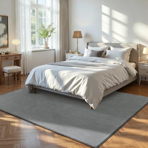 ISEAU 3x5 Soft Area Rug for Bedroom, Washable and Non-Slip, Grey