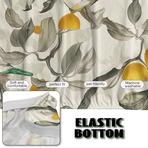 Lemon Bird Futon Covers Slipcover Full Size Stretchable Futon Sofa Cover Soft Washable Couch Slipcover with Elastic Bottom for Indoor