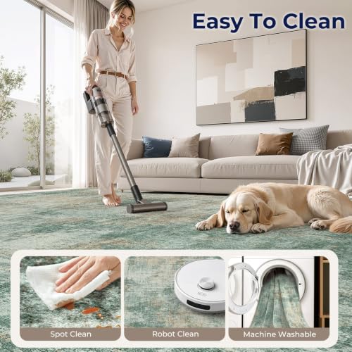5x7 Area Rug for Living Room Washable Abstract Indoor Carpet