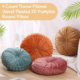 Kathfly 4 Pcs Decorative Round Pleated Throw Pillows, Classy Velvet Pumpkin Round Throw Pillows, Decorative Floor Pillow for Bed Chair Home Sofa Decor, 14" Diameter (Orange,Yellow,Pink,Green)