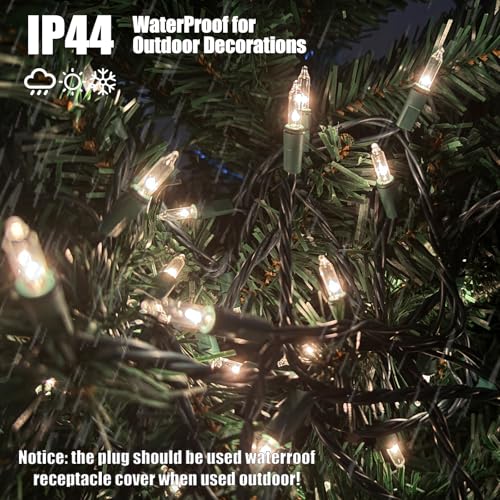 HISHINY Christmas Lights 100 Count Clear Christmas Tree Lights String with Green Wire for Outdoor Indoor Christmas Decorations Wedding Decorations Valentines Day Decor,UL Certified (21feet)