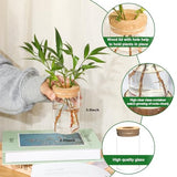 Separated Desktop Glass Flower Vases - Ideal Plants Propagation Stations for Living Room, Bedroom Decoration,Home Decor (2)