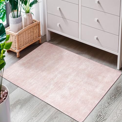 2x3 Washable Mat,Small EntryWay Rugs,Stainproof Non-Slip for Indoor Entranc