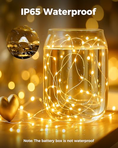 btfarm 12 Pack Fairy Lights Battery Operated, 7FT 20 LED Mini String Lights Waterproof Silver Wire for Mason Jars Centerpiece Table Crafts Bedroom Christmas Decoration, Warm White