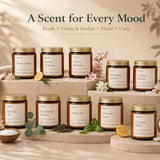 Scented Candle Gift Set, 10 Scents Soy Wax Candles, 35 oz Total