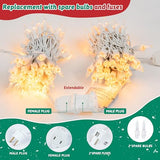 HEYFUNi Clear Christmas Lights Set,50 Count 13Feet Incandescent Bulb Mini String Lights for Christmas Tree Holiday Garland Party Weeding Xma Home Indoor&Outdoor Decorations,White Wire