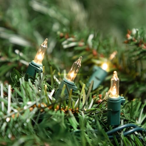 Northlight Mini Christmas Light Set -Clear - 4' Green Wire - 20ct