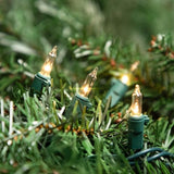 Northlight Mini Christmas Light Set -Clear - 4' Green Wire - 20ct