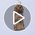 Old World Christmas Irish Doodle Glass Blown Ornament for Christmas Tree, Handcrafted Holiday Decoration, Dog Collection