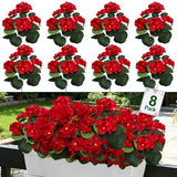 8 Bundles Artificial Geraniums Flowers for Outdoors Summer Decor, Fake Cemetery Flowers Silk Red Flower UV Resistant No Fade Faux Plants for Hanging Porch Garden Home Planter Patio Cemetery Decor