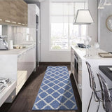 SHACOS Entryway Runner Rugs 20"x59" Dirt Trapper Kitchen Runner Rug Washable Rug Runner Non Slip Rubber Backing Hallway Runner Rug Floor Mats, Light Blue