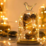 Sanniu Led String Lights, Mini Battery Powered Copper Wire Starry Fairy Lights, Battery Operated Lights for Bedroom, Christmas, Parties, Wedding, Centerpiece, Decoration (5m/16ft Warm White)