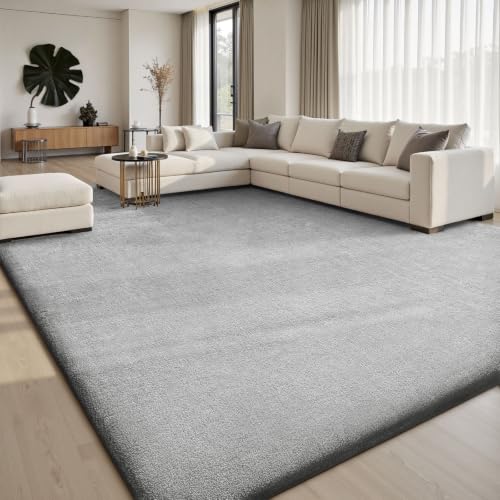 Sour Lemon 4x6 Area Rugs for Living Room Bedroom, Washable Rug Carpet Grey