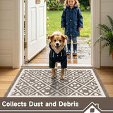 Indoor Door Mat 2x3ft, Absorbent Muddy Mats for Dogs, Low-Profile Entrance Welcome Mat with Non-Slip Rubber Backing, Washable Runner Carpet for Hallway,Entryway,Kitchen(Brown)