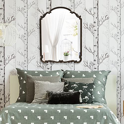 Wylde Iris English Estate Carved Arch Wood Wall Mirror, Mirror for Entryway, Living Room, Bathroom, Antique Black, 22x30
