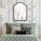 Wylde Iris English Estate Carved Arch Wood Wall Mirror, Mirror for Entryway, Living Room, Bathroom, Antique Black, 22x30