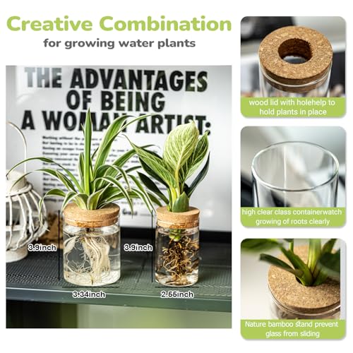 Glass Propagation Stations for Plants -Desktop Flower Vases,Propagation Flower Vases Set – 2 Large & 2 Small for Plant Cuttings，for Living Room, Bedroom Decoration,Home,Office Decor (4)