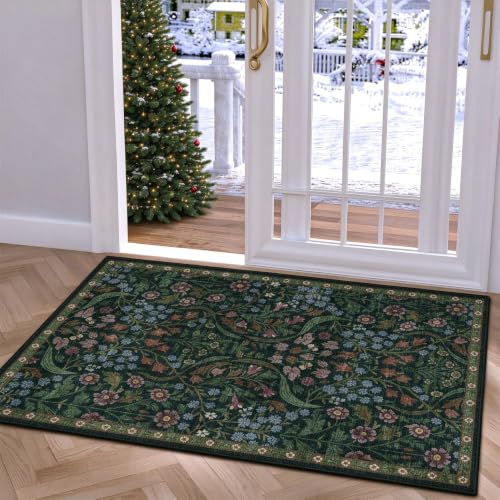Washable Non-Slip Small Area Rug 16x24, Also a Pet Feeding Mat or Door Mat