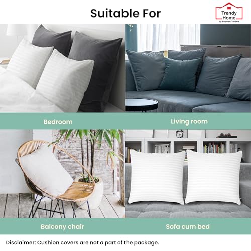 Trendy Home 18x18 Throw Pillow Insert (Set of 2, White) Bed and Couch Pillows Stuffer Hypoallergenic, Decorative Home Indoor Outdoor Sofa Pillow Filler (Machine Wash, 2 Pack)