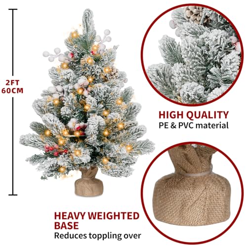 2FT Small Christmas Tree,Flocked Artificial Mini Christmas Tree with Lights,Tabletop Xmas Tree with Ornaments,Christmas Decoration for Party by DNKMOR
