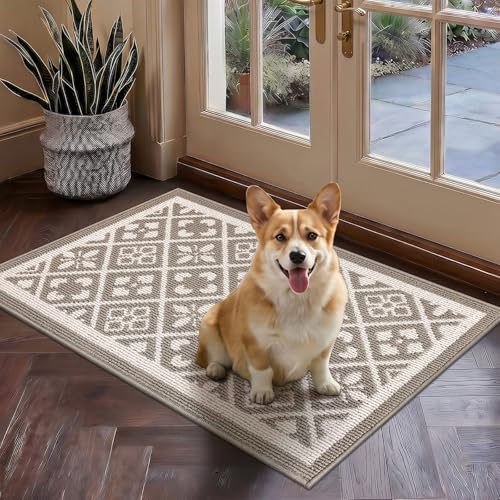 Indoor Door Mat 2x3ft, Absorbent Muddy Mats for Dogs, Low-Profile Entrance Welcome Mat with Non-Slip Rubber Backing, Washable Runner Carpet for Hallway,Entryway,Kitchen (Beige)