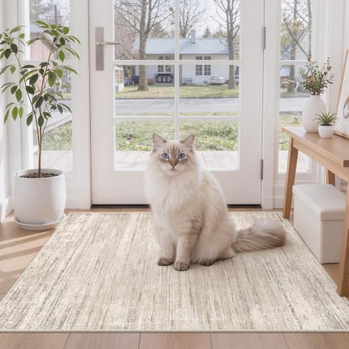2x3 Entryway Rug Washable Area Rug, Non-Slip Kitchen Mat Beige