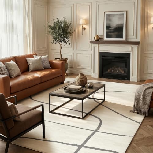 jinchan 6x9 Modern Abstract Curved Line Washable Area Rug, Grey