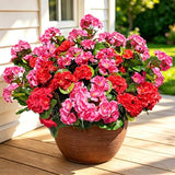 8 Bundles Artificial Geranium Fake Flowers for Outdoor UV Resistant, Outside Spring Red Pink Flower Decoration for Home Kitchen Table Cemetery Garden Planter, Front Door Silk Faux Plants