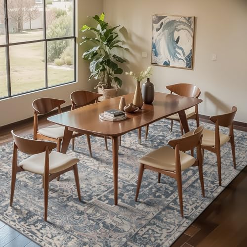 Blue Area Rugs 5x7 Washable Rug for Living Room Bedroom
